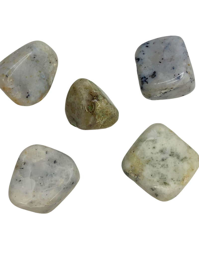 Agate Dendrite Tumble