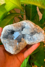Celestite Druze- Madagascar, High Grade- 5