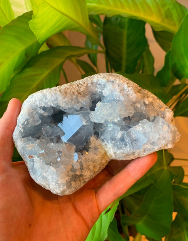 Celestite Druze- Madagascar, High Grade- 5