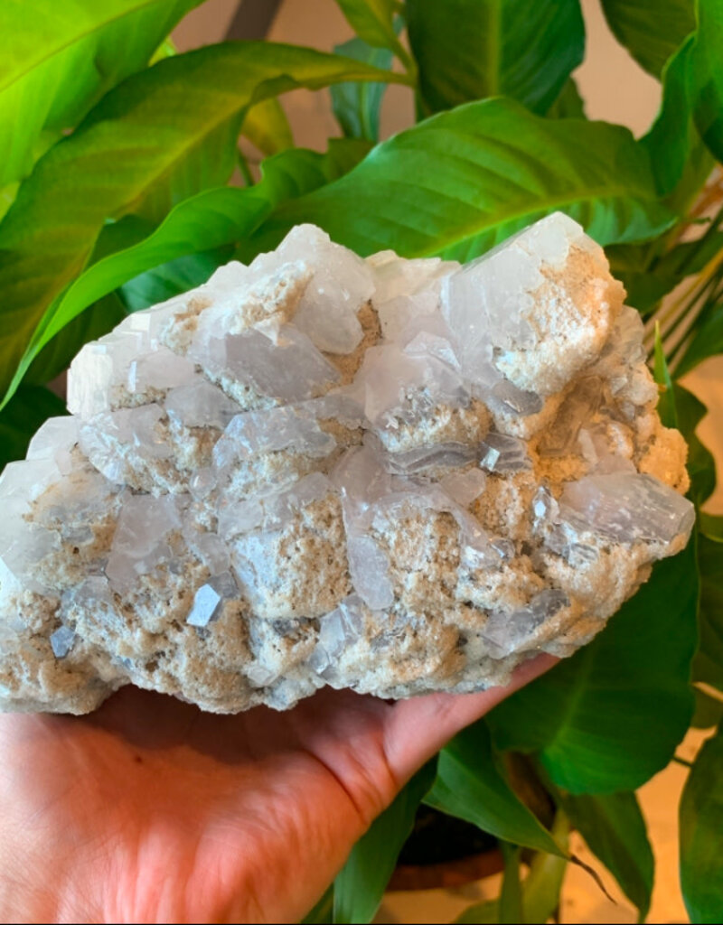Pink Calcite Druze