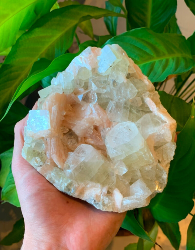 Apophyllite, Stilbite Specimen- 3