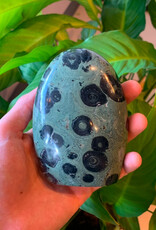 Kambaba Jasper Oval