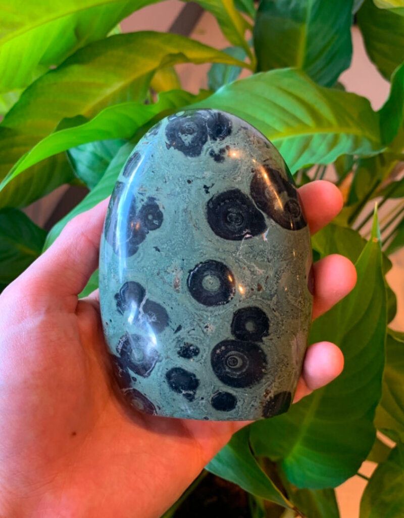 Kambaba Jasper Oval