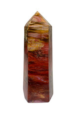Petrified Wood Point