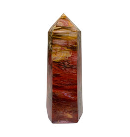 Petrified Wood Point