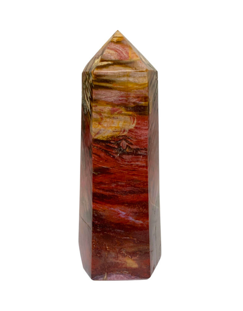 Petrified Wood Point