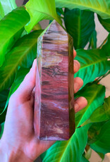 Petrified Wood Point