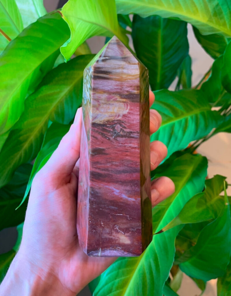 Petrified Wood Point