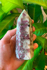 Rubellite and Tourmaline Point