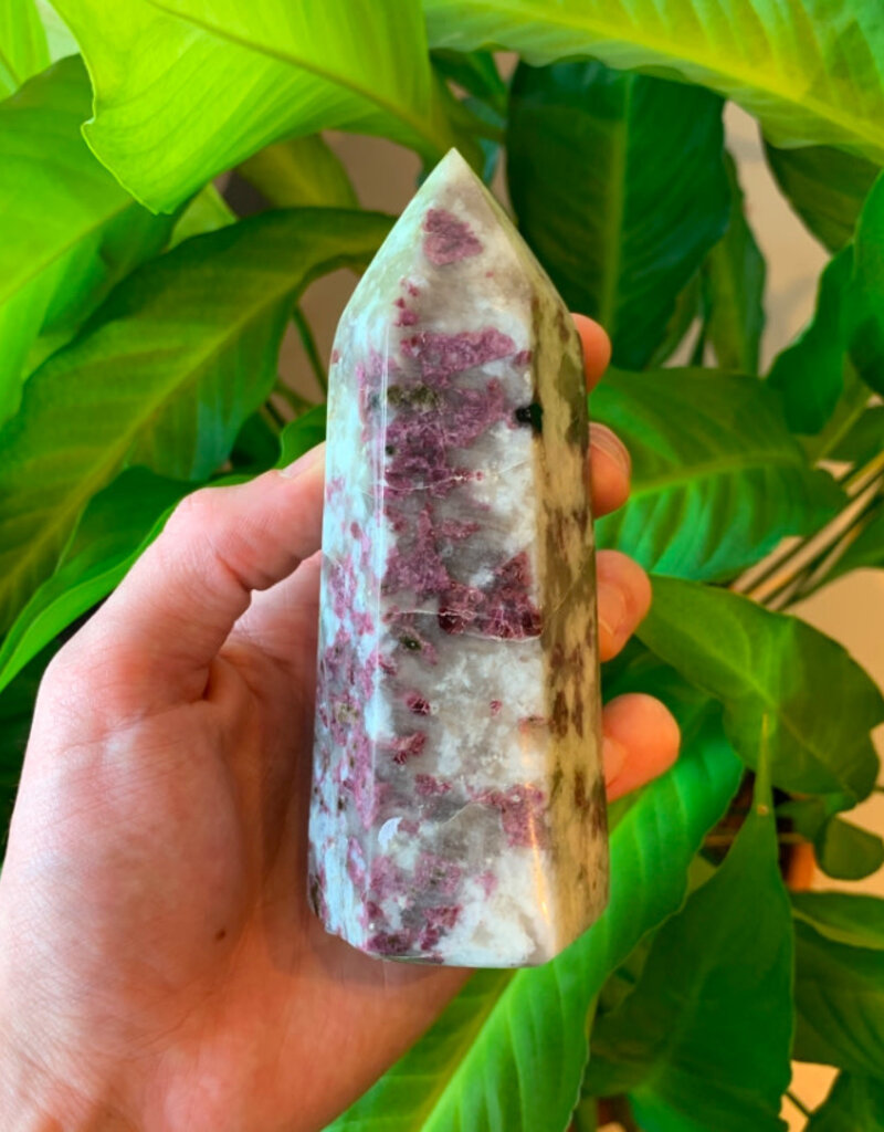 Rubellite and Tourmaline Point