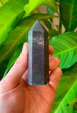 Ruby in Kyanite Point