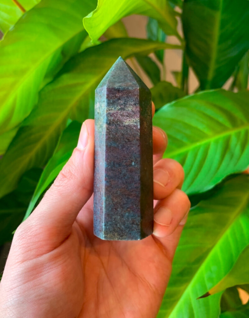 Ruby in Kyanite Point