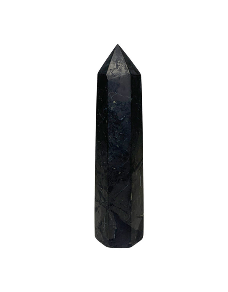 Shungite Point