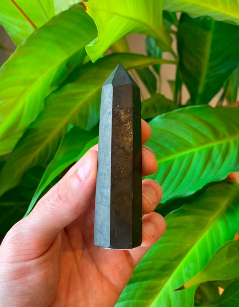 Shungite Point