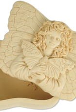 Tenderness Wishing Box
