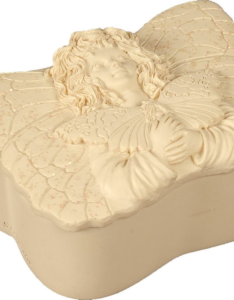 Tenderness Wishing Box