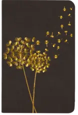 Jotter Mini Notebooks - Dandelion Wishes