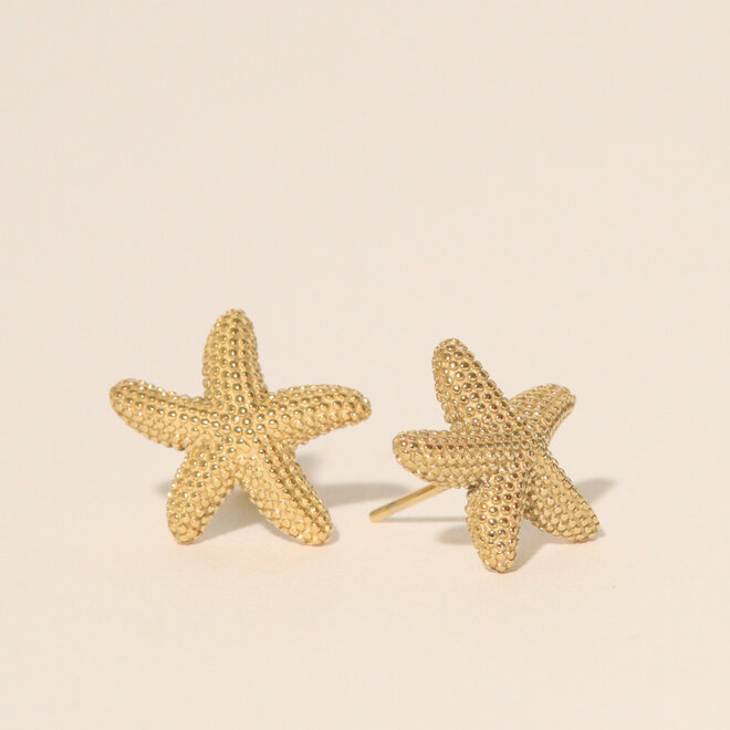 Boucles d'oreilles stud Astérie