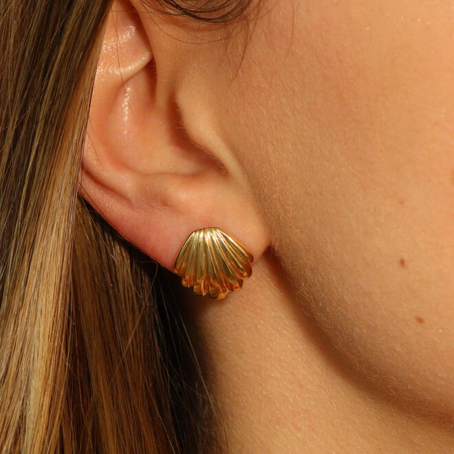 Boucles d'oreilles stud Coquillage