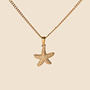 Collier Astérie