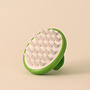 Brosse capillaire