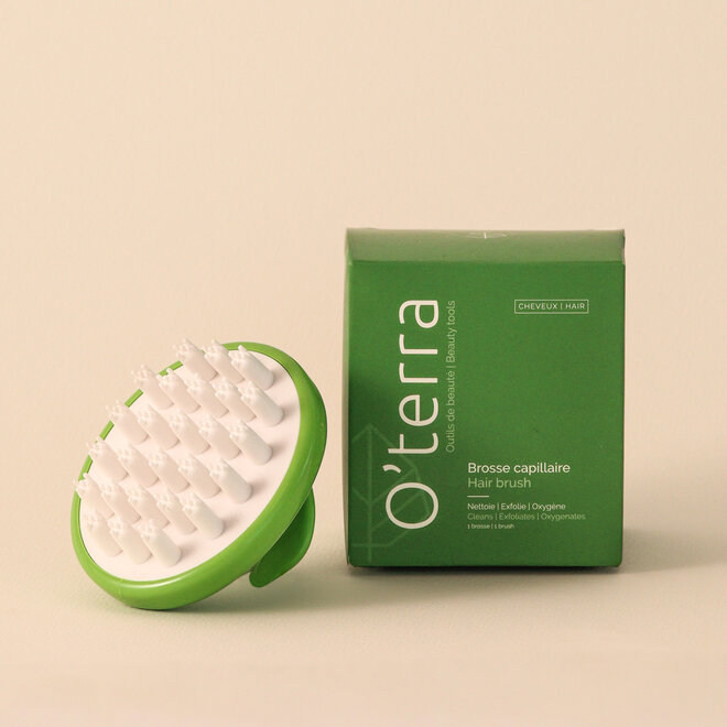 Brosse capillaire