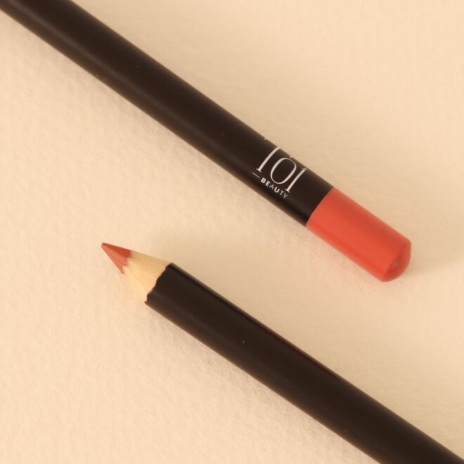 Crayon à lèvres - #06