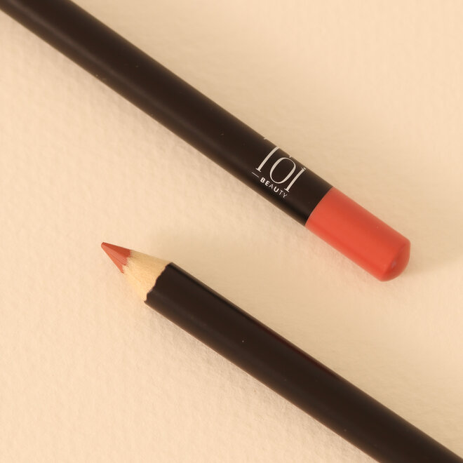 Crayon à lèvres - #06