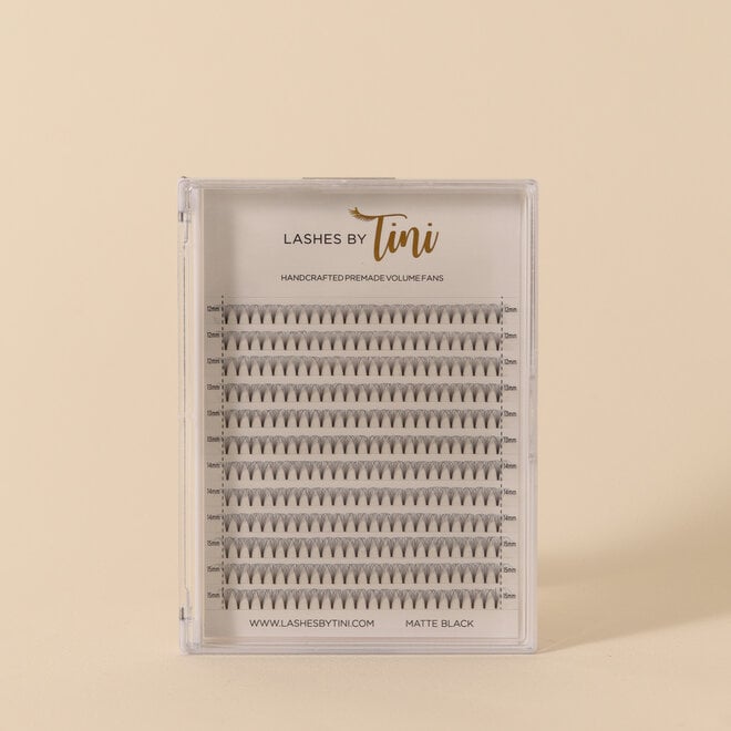 Bouquets de Faux-cils volume Pré-Faits 10D CC-0,04 - Mixte Noir