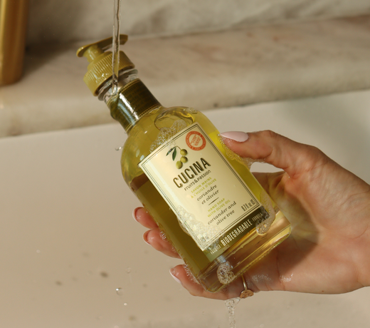 Coriandre et olivier