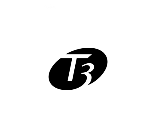 T3