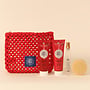 Trousse Découverte Gingembre Rouge