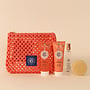 Trousse Découverte Fleur de Figuier