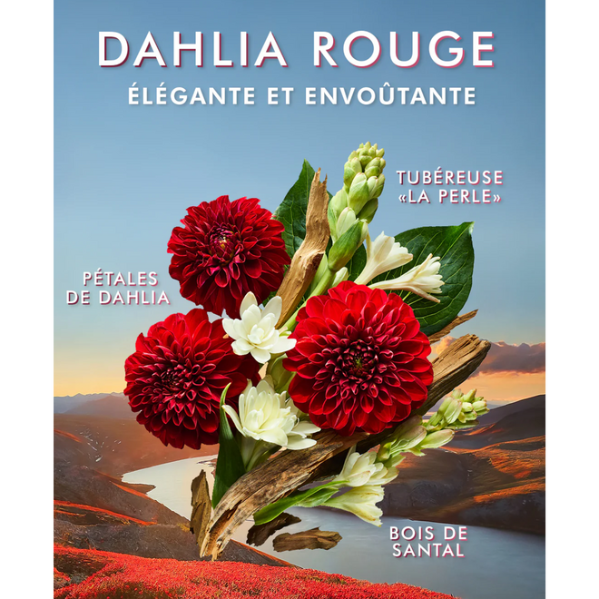 Gel douche Dahlia Rouge - 250ml