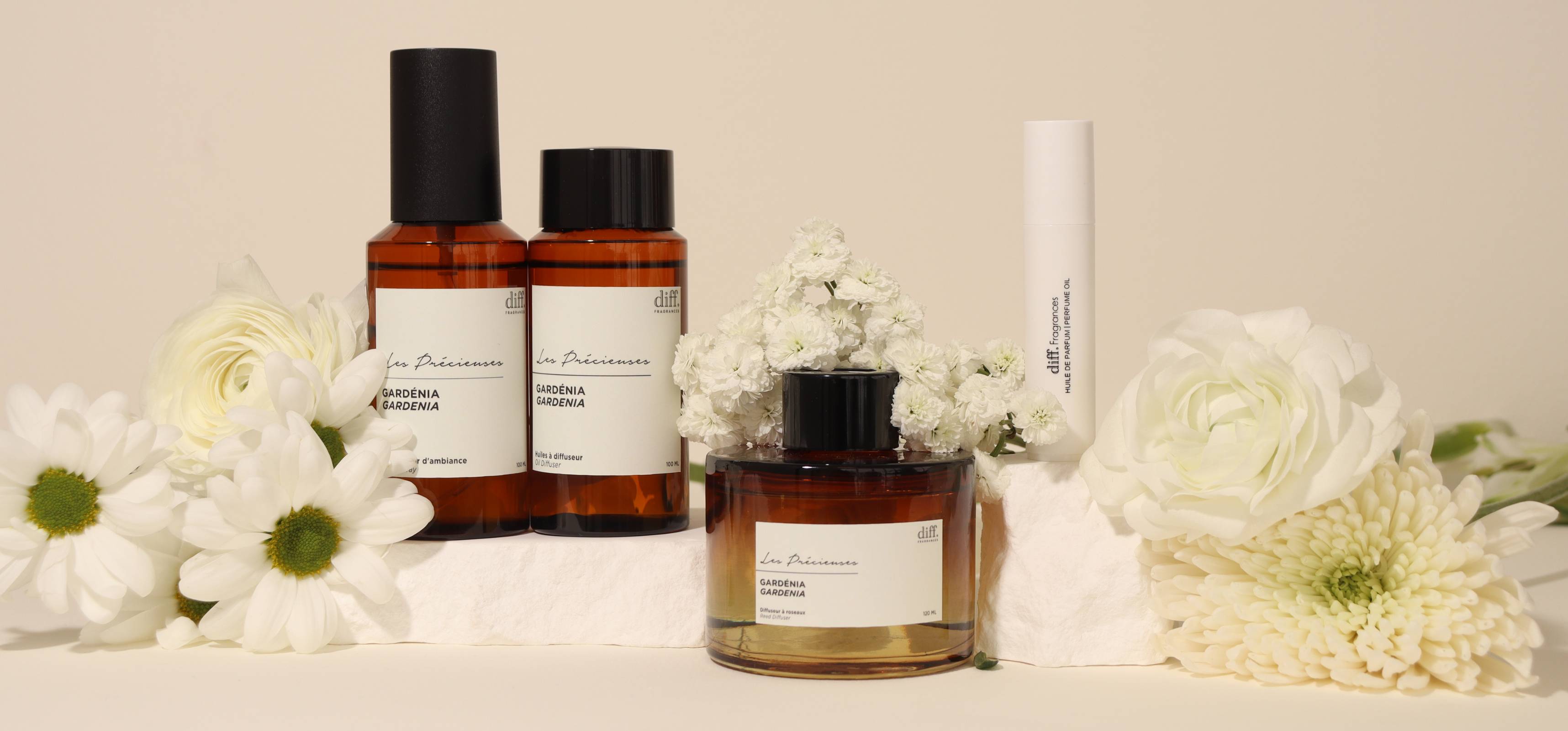 Les Précieuses x Diff. 