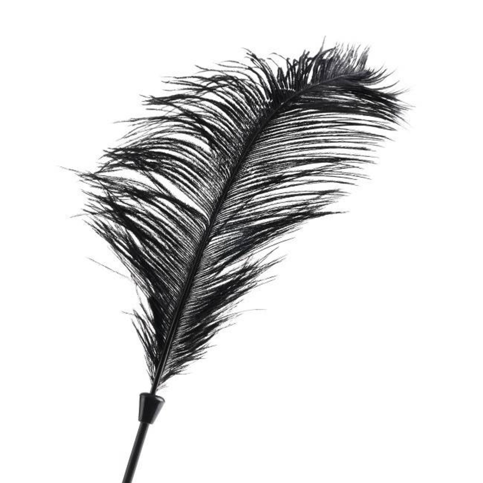 Fetish Fantasy Series Limited Edition Fetish Fantasy Limited Edition Love Plume