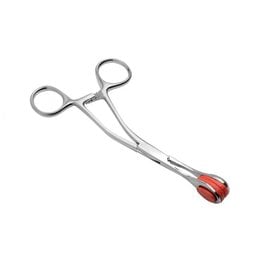 Mistress by Isabella Sinclaire Young Forceps