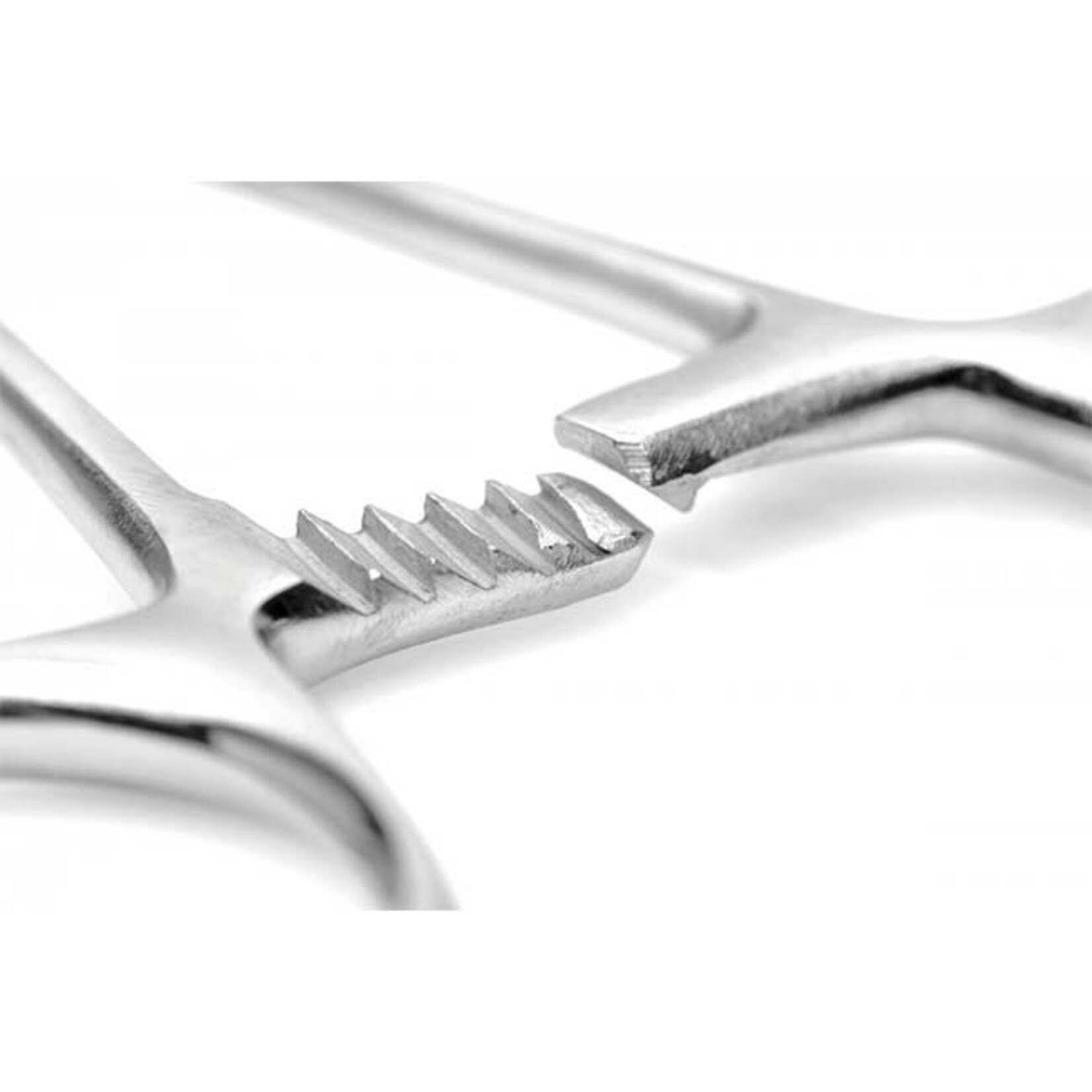 Mistress by Isabella Sinclaire Mistress by Isabella Sinclaire Young Forceps