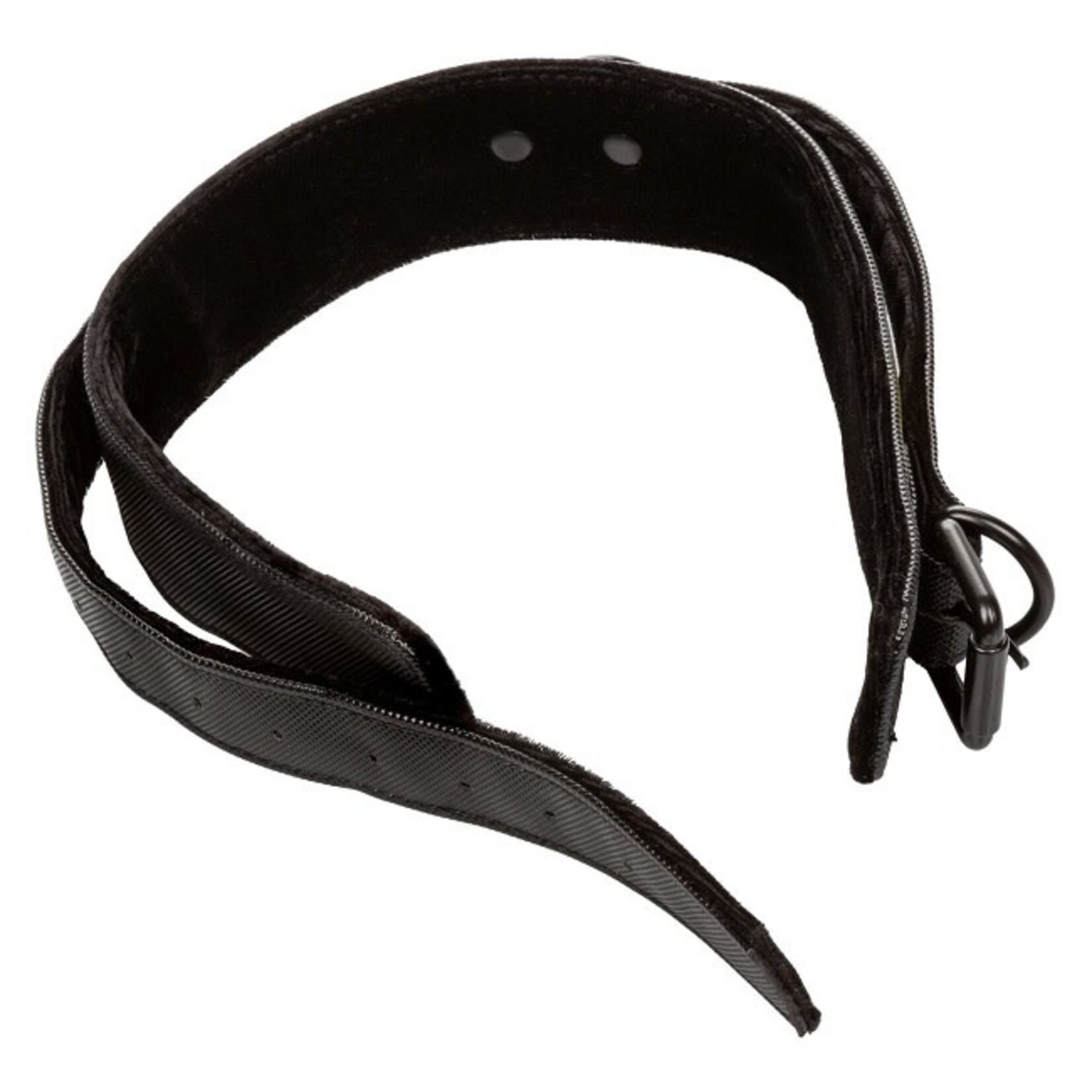 CalExotics Boundless Collar & Leash