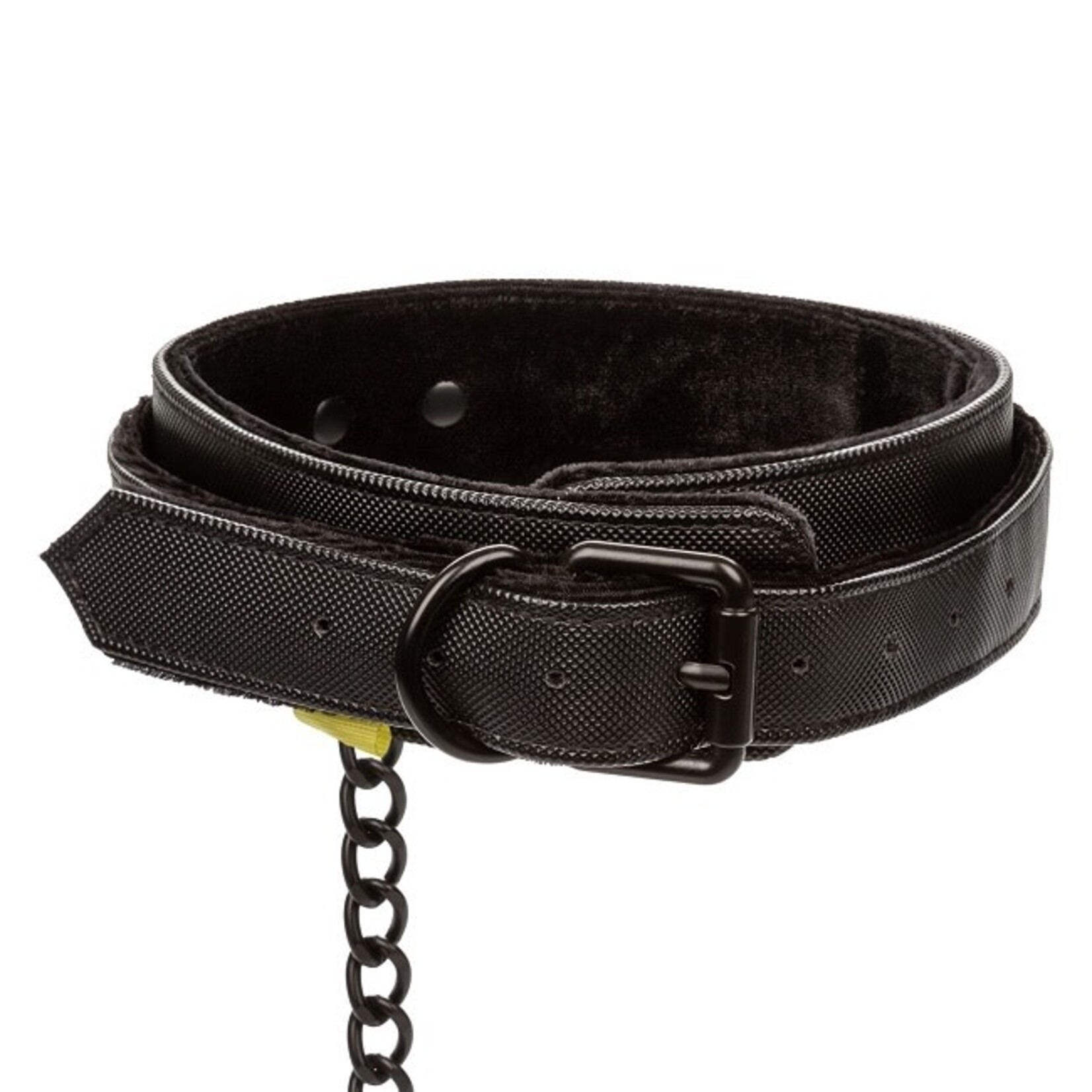CalExotics Boundless Collar & Leash