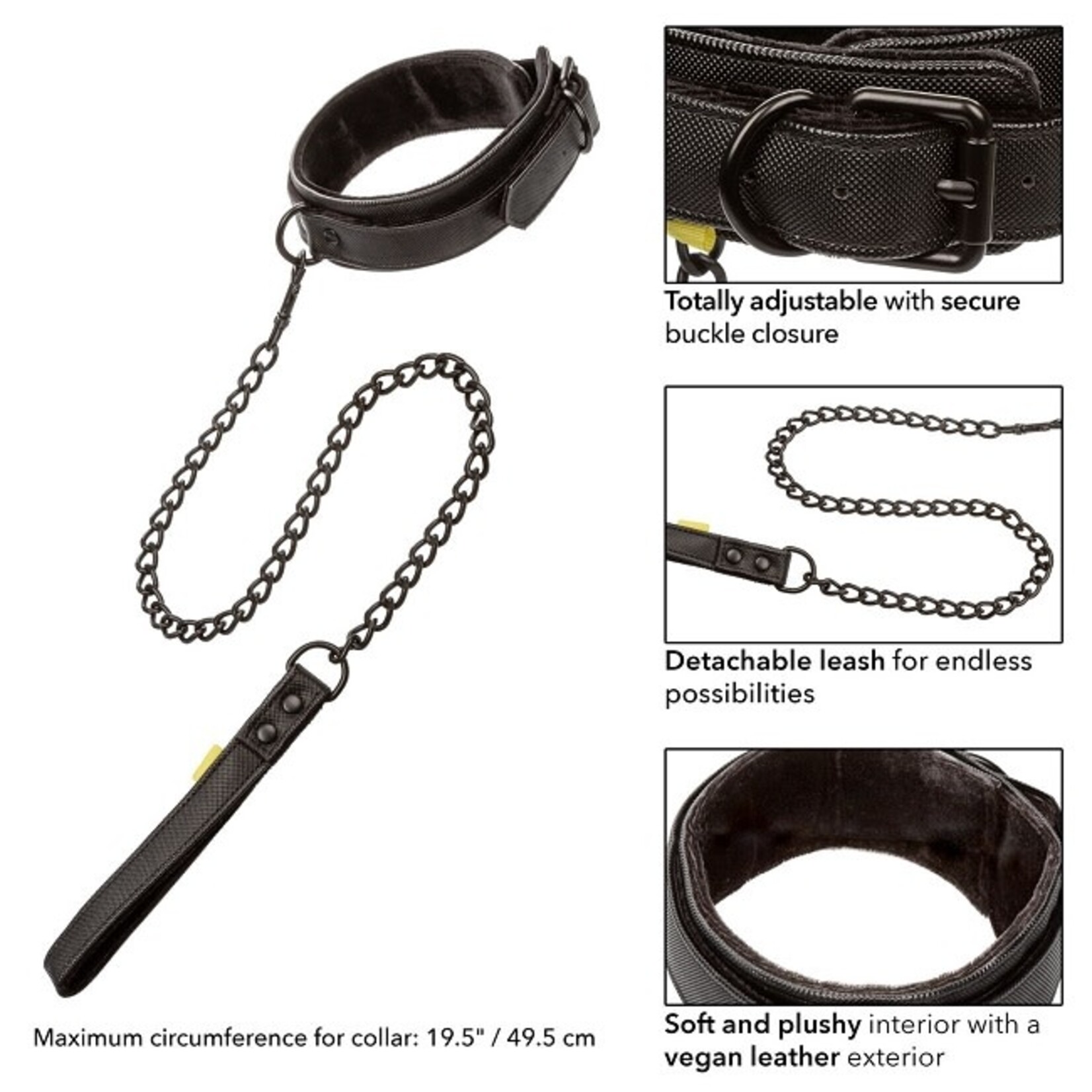 CalExotics Boundless Collar & Leash