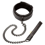 CalExotics Boundless™ Collar & Leash