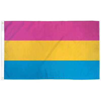 Pansexual Pride Flag 3ft x 5ft