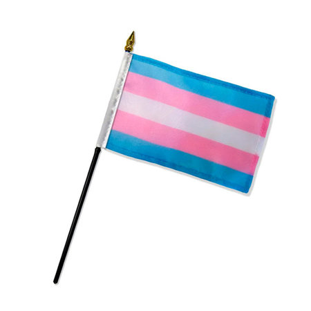 4" x 6" Stick Pride Flags