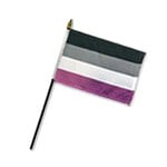 4" x 6" Stick Pride Flags