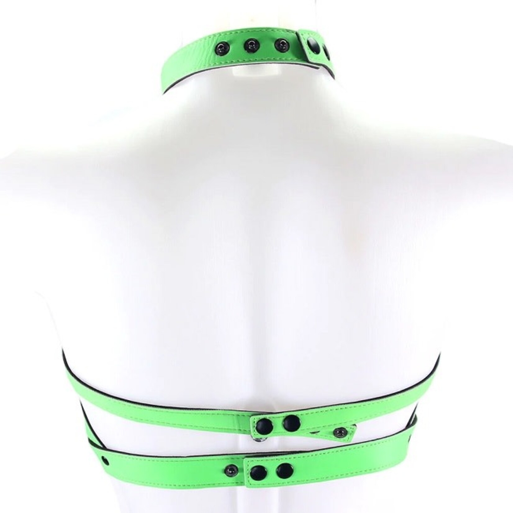 Shots America Ouch! Glow-in-the-Dark Bra Harness
