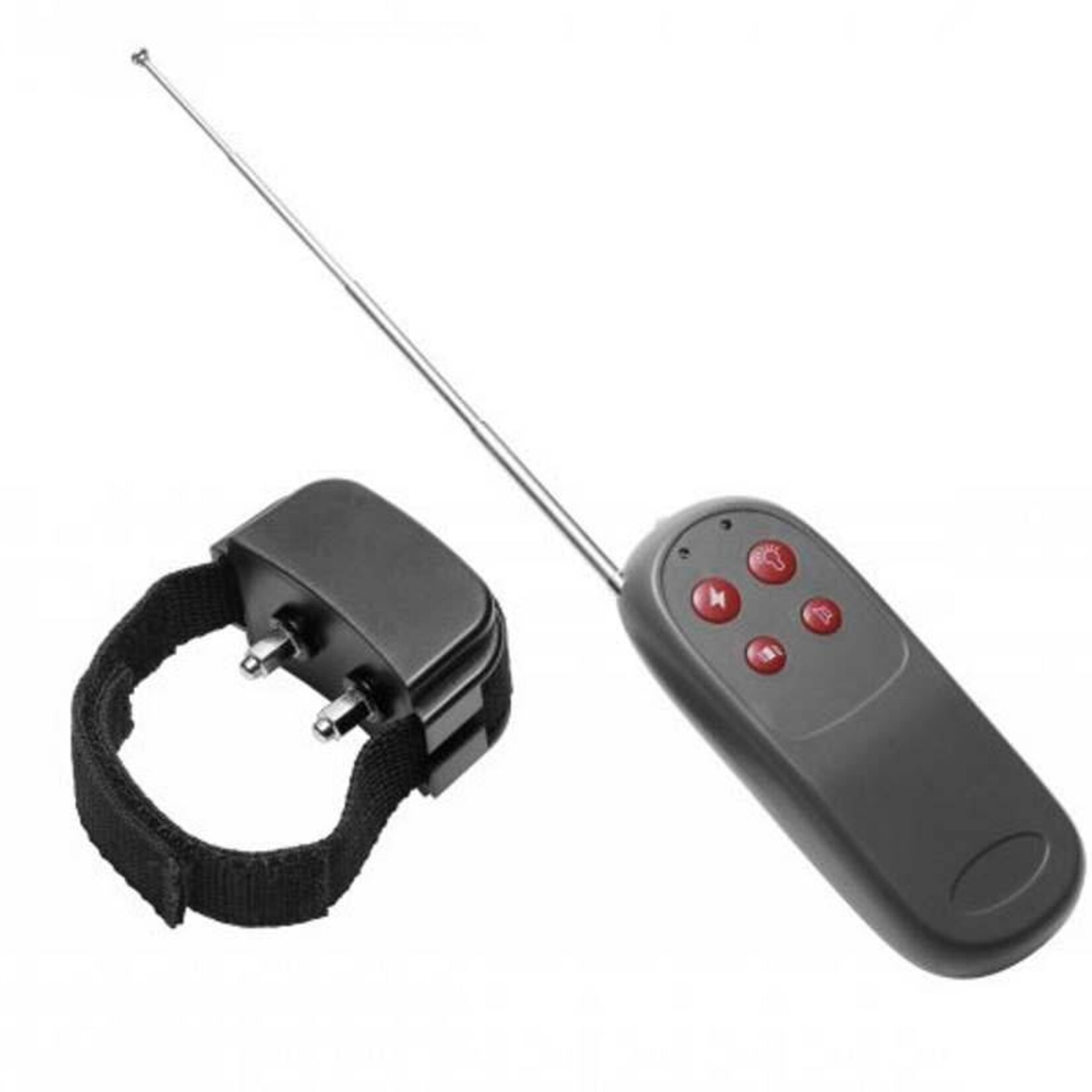 Master Series Master Series Cock Shock Remote CBT Electric Cock Ring