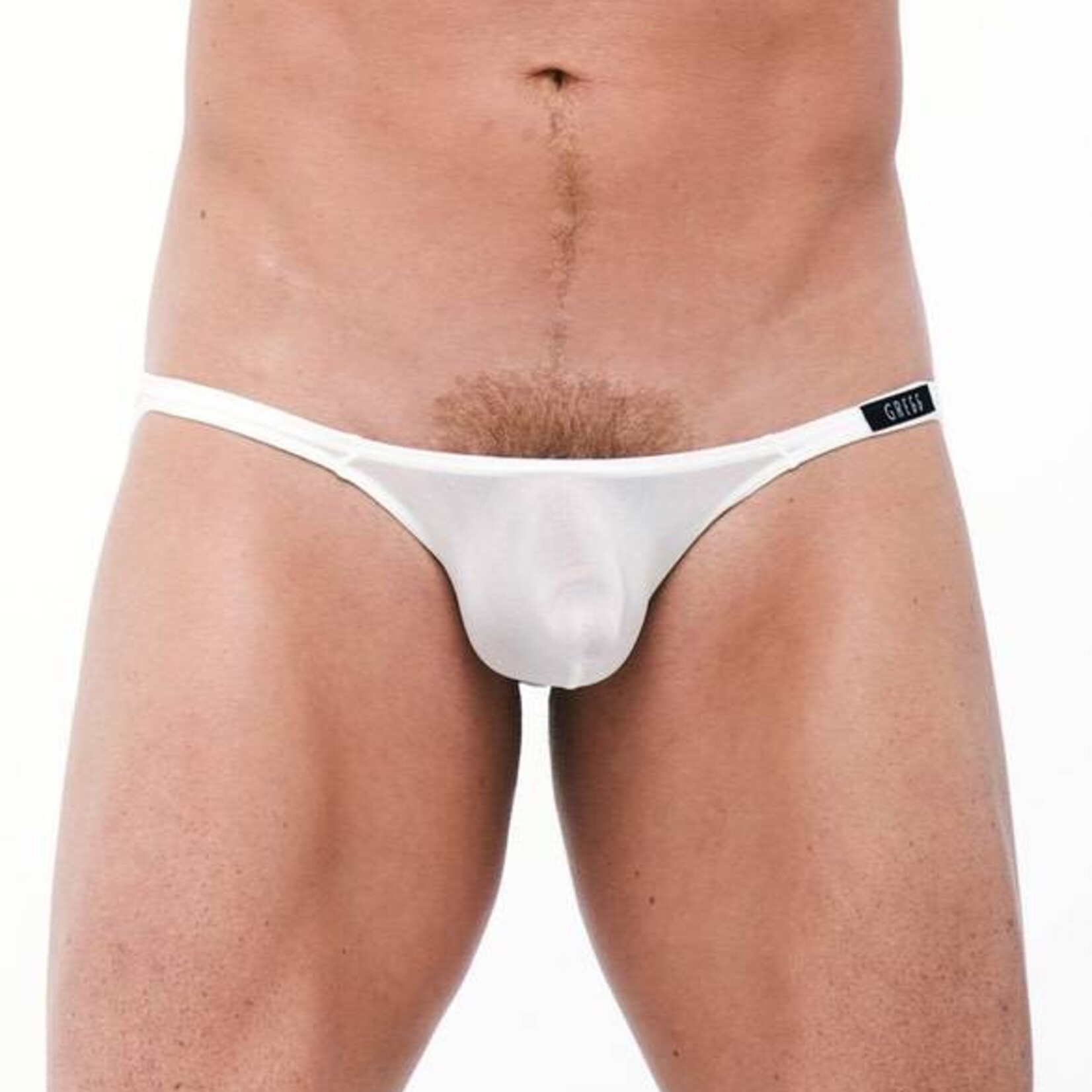 Gregg Homme Torridz Brief