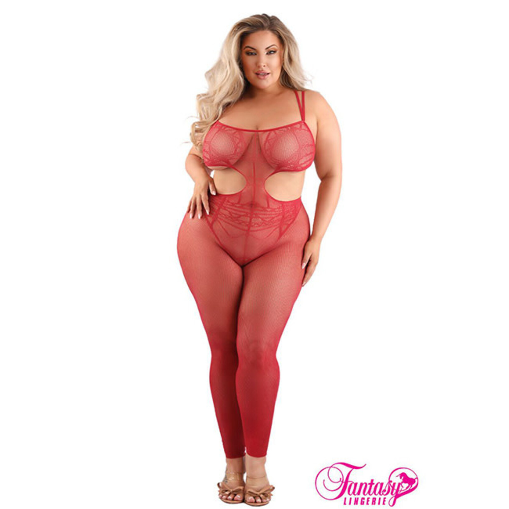 Sheer Fantasy Unforgettable Cut-Out Open Rear Footless Bodystocking