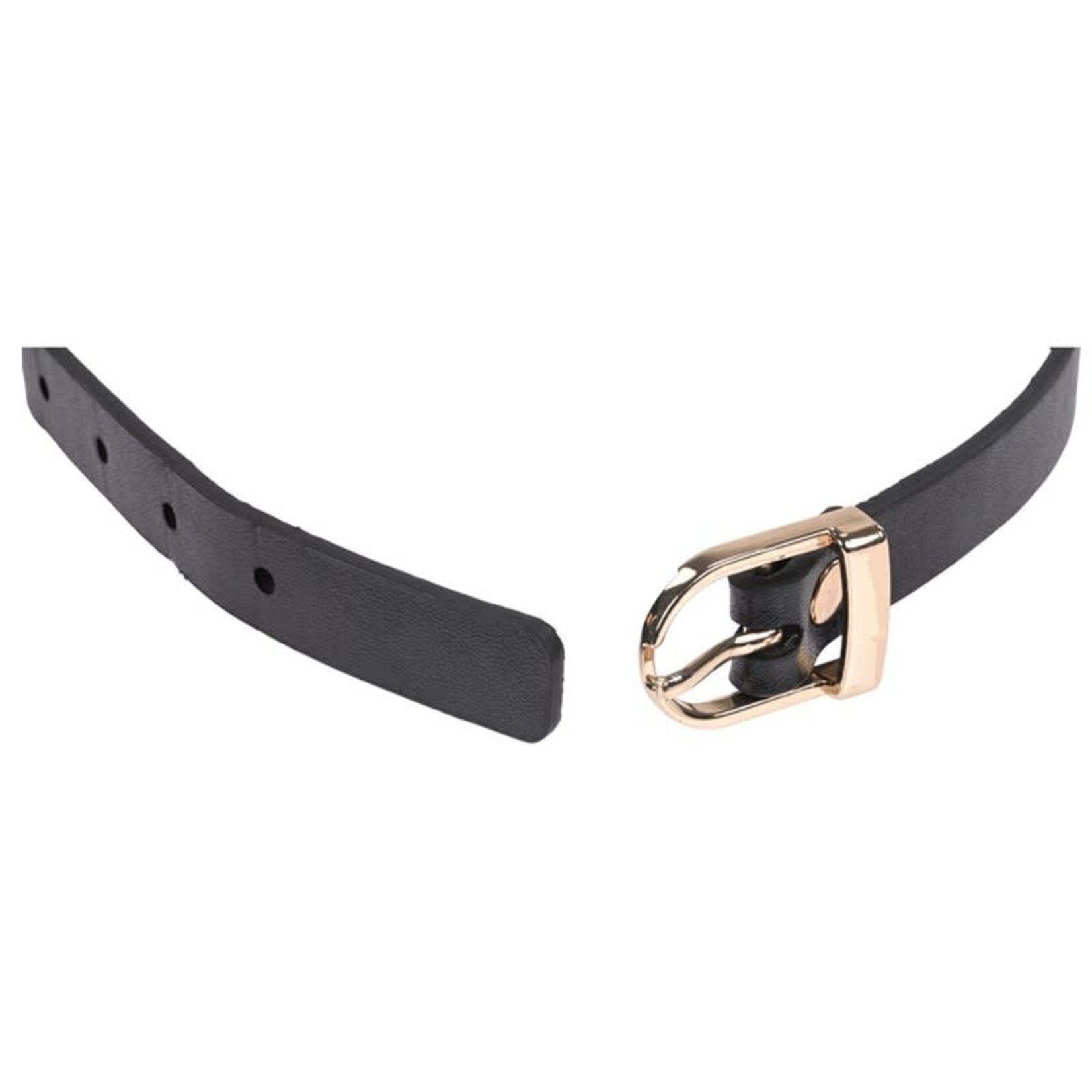 Sportsheets Sex & Mischief Double Buckle Day Collar
